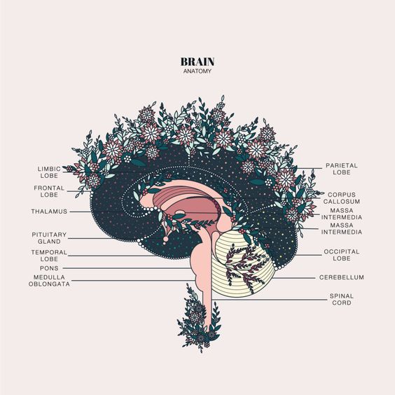 20 Things to Expect After Brain Surgery