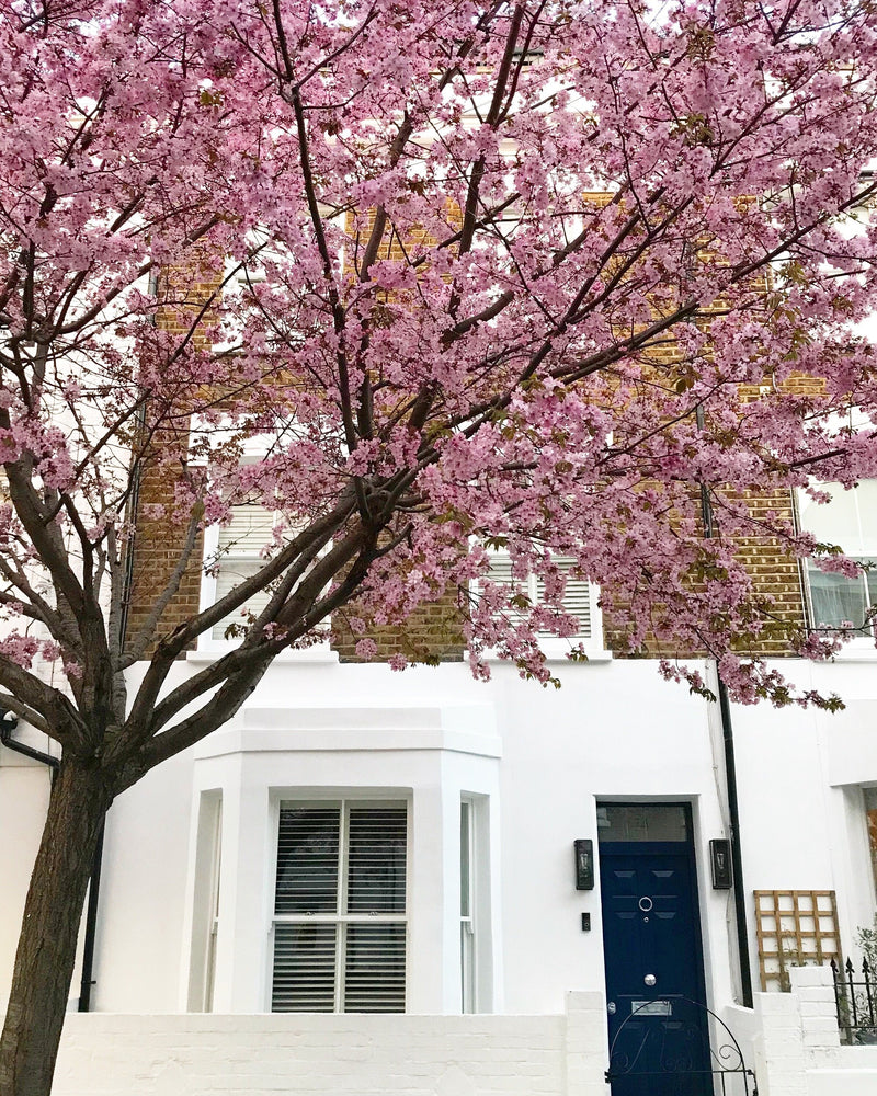 How Moving House Reminded Me to Embrace Change and 8 Ways You Can Too