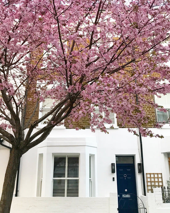 How Moving House Reminded Me to Embrace Change and 8 Ways You Can Too
