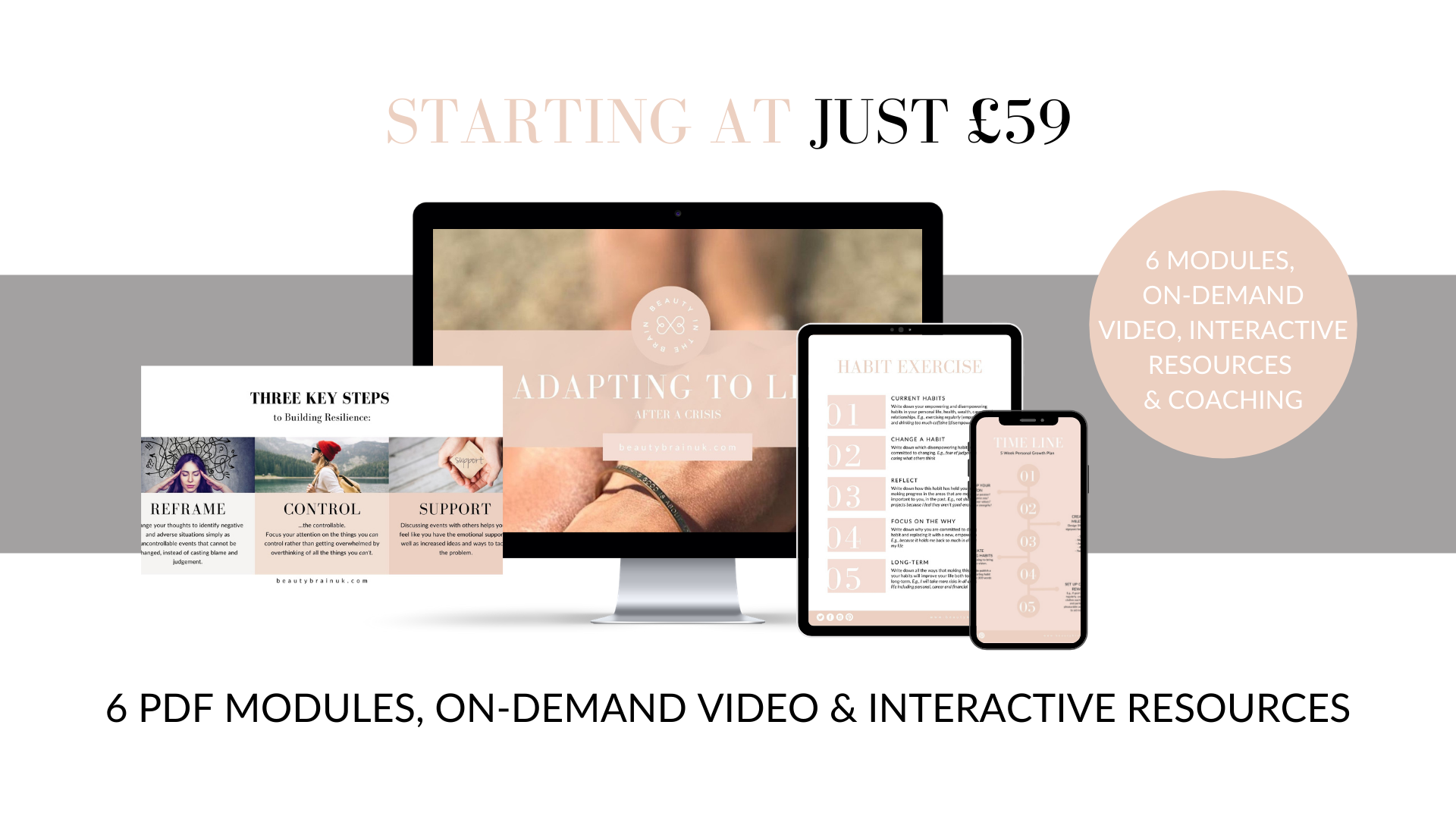 Adapting to Life After a Crisis Digital Course